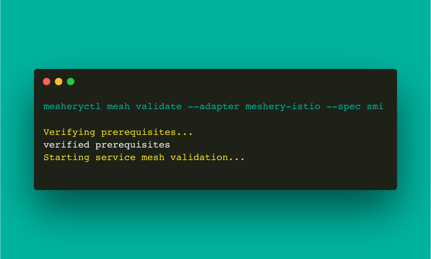 mesh-validate-usage